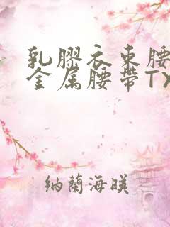 乳胶衣束腰勒紧金属腰带TXT