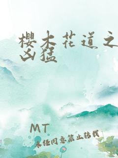 樱木花道之重生凶猛