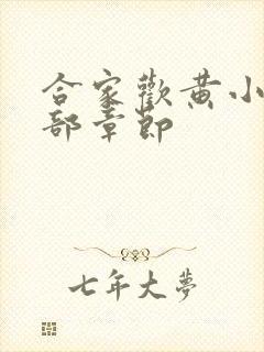 合家欢黄小梅全部章节