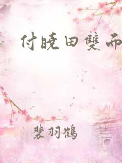 付晓田双面间谍