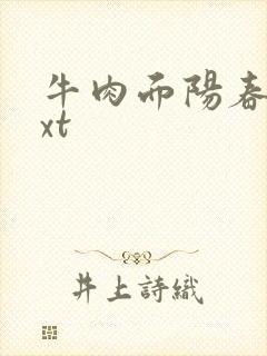 牛肉面阳春面txt