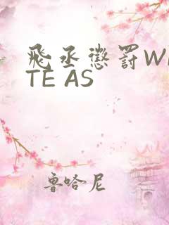 飞丞惩罚WRITE AS