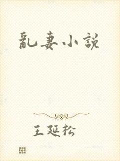 乱妻小说