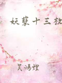 妖孽十三枚