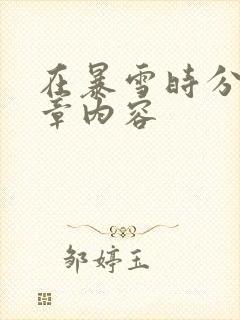 在暴雪时分54章内容