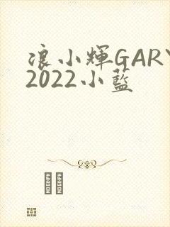浪小辉GARY2022小蓝