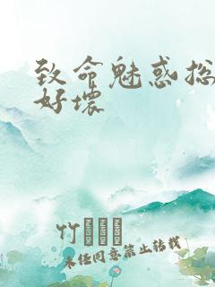 致命魅惑总裁你好坏