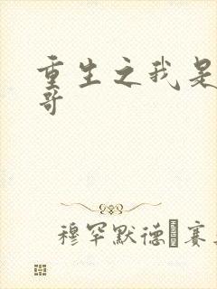 重生之我是大帅哥