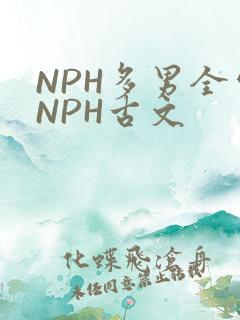 NPH多男全处NPH古文