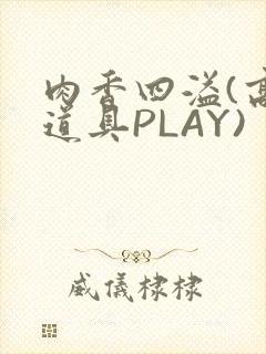 肉香四溢(高H道具PLAY)
