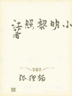 江照黎明小说原著