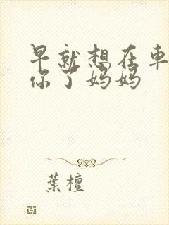 早就想在车里要你了妈妈