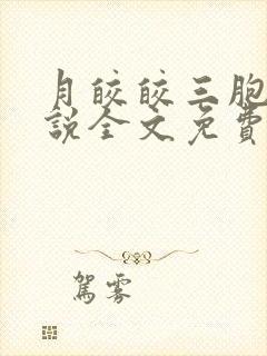 月皎皎三胞胎小说全文免费阅读