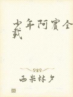 少年阿宾全集下载