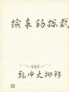 捡来的总裁儿子