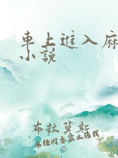 车上进入麻麻的小说