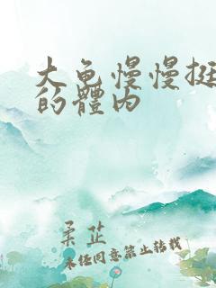 大龟慢慢挺进我的体内