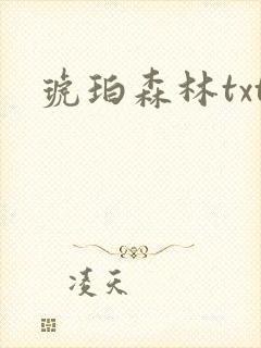 琥珀森林txt