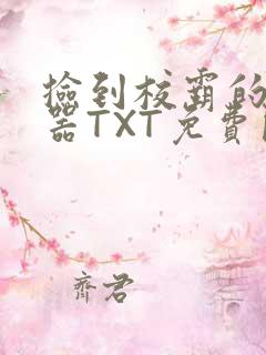 捡到校霸的遥控器TXT免费阅读