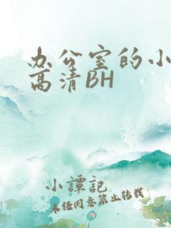 办公室的小秘书高清BH