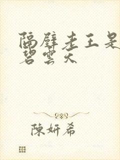 隔壁老王是皇帝碧云天