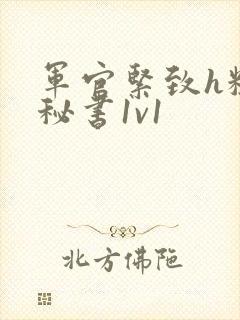 军官紧致h粗大秘书1v1