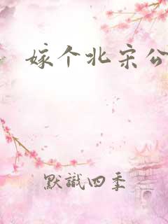 嫁个北宋公务员