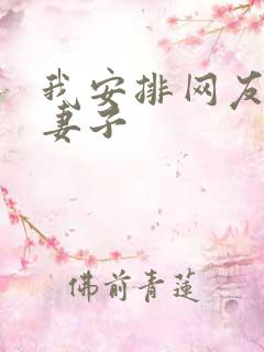 我安排网友开发妻子