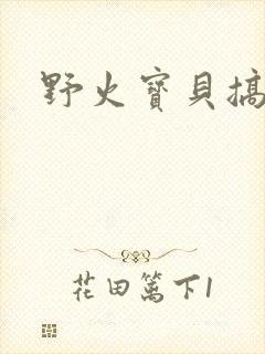 野火宝贝搞定你