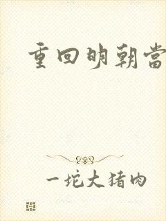 重回明朝当皇帝