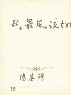 我最风流txt