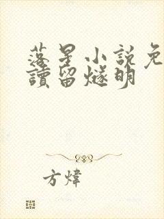 落星小说免费阅读留燧明