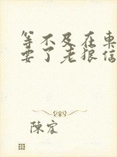 等不及在车里就要了老狼信息