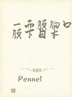 一面膜胸口一面膜下日本