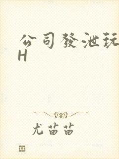 公司发泄玩具lH