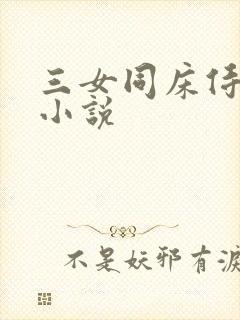 三女同床侍一夫小说