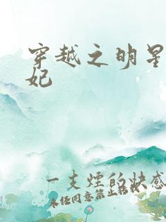 穿越之明星太子妃