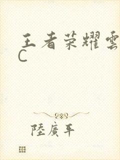 王者荣耀云缨被C