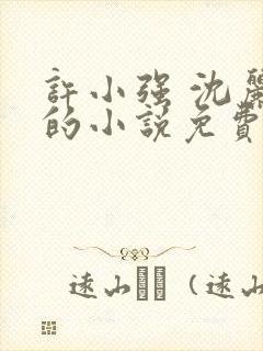 许小强 沈丽娟的小说免费阅读