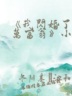 《我闪婚了个亿万富翁》小说