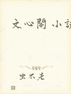 文心阁 小说