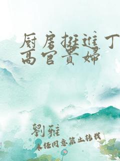 厨房挺进丁字裤高官贵妇