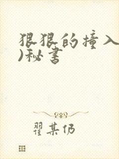 狠狠的撞入(h)秘书