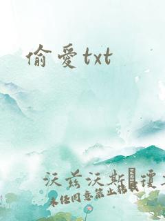 偷爱txt