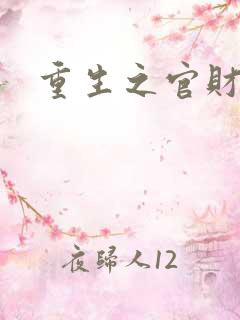 重生之官财人生