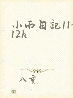 小雨日记11-12h