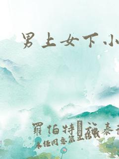 男上女下小说