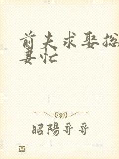 前夫求娶总裁追妻忙