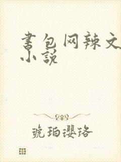 书包网辣文全本小说