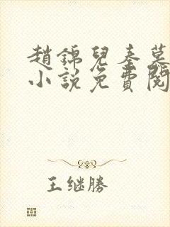 赵锦儿秦慕修的小说免费阅读全文